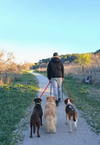 ¡TU PERRO NO QUIERE QUEDARSE EN CASA!