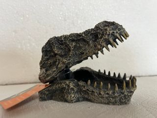 Decorazione Teschio Dinosauro per Acquario