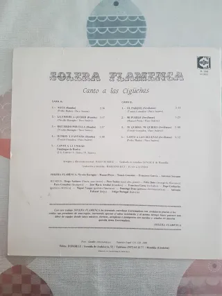 Disco Vinilo Canto a las Cigüeñas