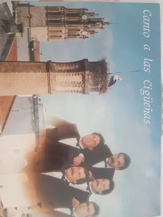 Disco Vinilo Canto a las Cigüeñas