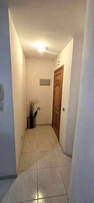 Piso en alquiler en San Cristóbal de La Laguna - La Vega - San Lázaro en San Cristóbal de La Laguna