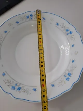 Lote platos arcopal azul y blanco