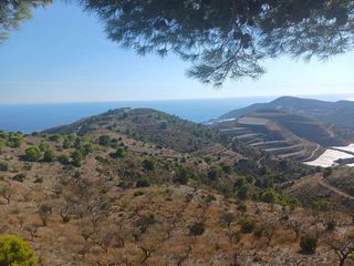 Terreno en venta en Motril pueblo en Motril