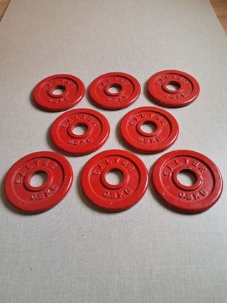 8 Pesas Salter 0.5 Kg 30mm
