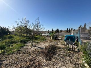 Terreno en venta en Monteolivete-Camino Sevilla en Sanlúcar de Barrameda