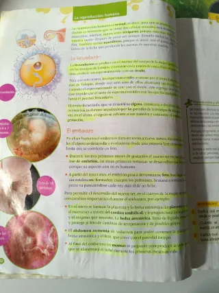 Conocimiento del Medio Sexto Primaria (Tres Trimes