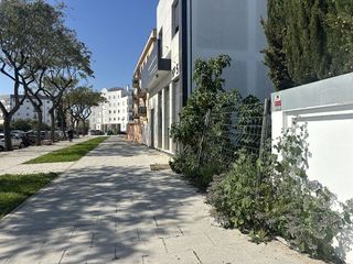 Terreno en venta en El Pino-Bajo de Guía en Sanlúcar de Barrameda