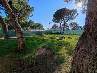 Terreno en venta en Sevilla la Nueva