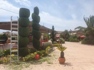 Jardinero Profesional