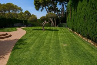 Jardinero Profesional