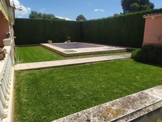 Jardinero Profesional