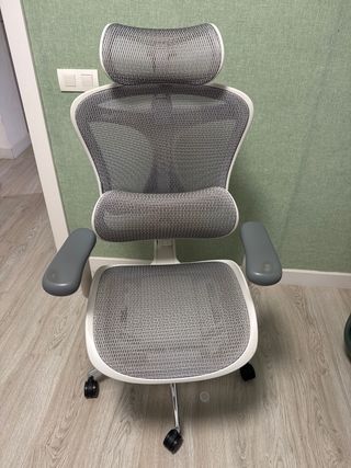 Silla de oficina ergonómica Sihoo Doro C300