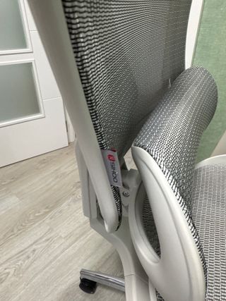 Silla de oficina ergonómica Sihoo Doro C300