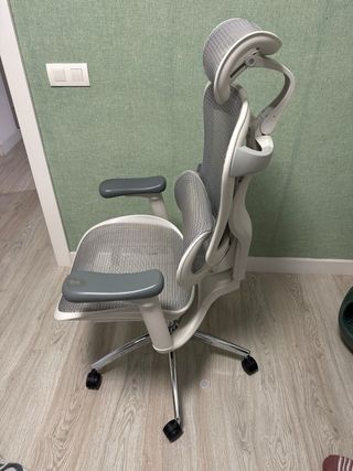Silla de oficina ergonómica Sihoo Doro C300