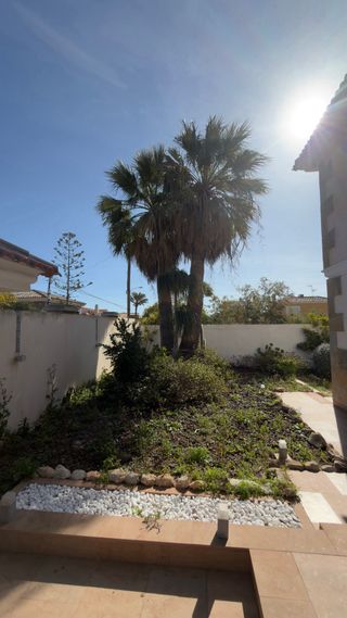 PODA DE PALMERAS 684301019