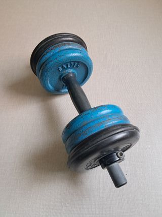 2 Mancuernas Salter con 12 discos 1kg AZUL VINTAGE