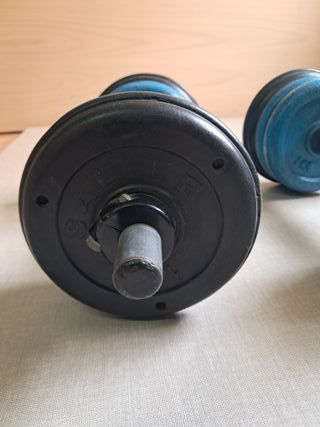 2 Mancuernas Salter con 12 discos 1kg AZUL VINTAGE