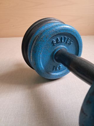 2 Mancuernas Salter con 12 discos 1kg AZUL VINTAGE