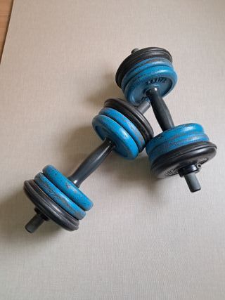 2 Mancuernas Salter con 12 discos 1kg AZUL VINTAGE