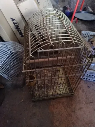 Jaula para loro