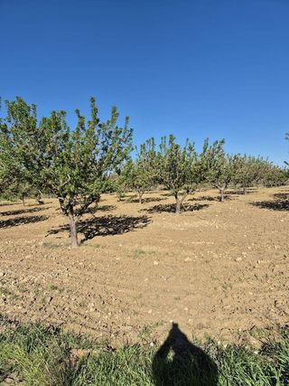 Solar en venta en Bullas