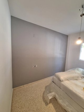 Pintor económico
