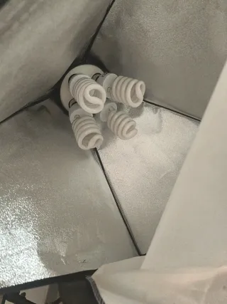 Camilla tatuajes o masajes REGALO FOCO