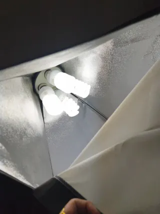 Camilla tatuajes o masajes REGALO FOCO