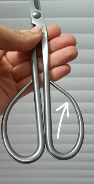 Pack de Herramientas Bonsai - Accesorios Bonsais