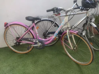 Bicicletas de paseo plateada y rosa
