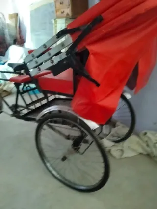 Bicicleta Clásica 3 Ruedas con Toldo