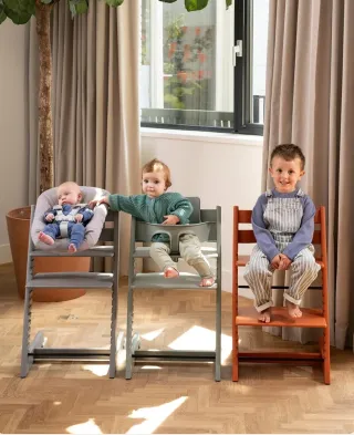 Silla evolutiva Stokke