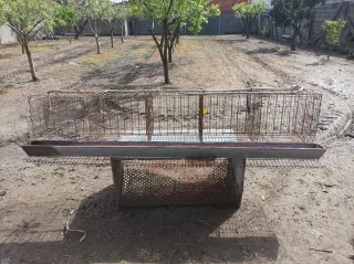 Jaula para gallinas con comedero y bebederos.