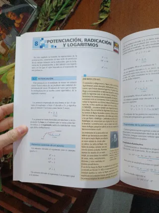 El mentor de matematicas/ The Mathematic's Ment...