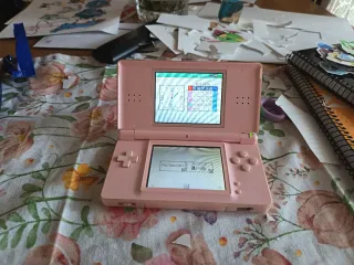 Console Nintendo DS Lite Rosa + Catz 2