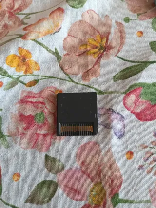 Console Nintendo DS Lite Rosa + Catz 2