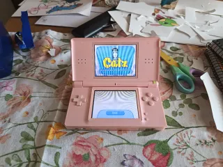 Console Nintendo DS Lite Rosa + Catz 2