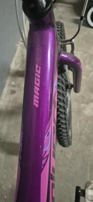 Bicicleta couler infantil 20 pulgadas morada