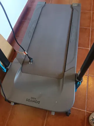 Cinta  Domyos