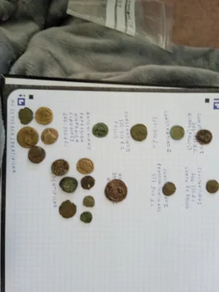 Collezione di antiche monete romane