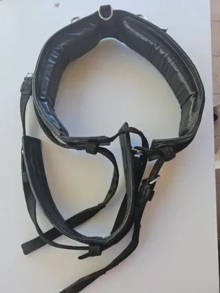 Arreos completos para caballo talla grande