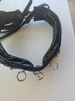 Arreos completos para caballo talla grande