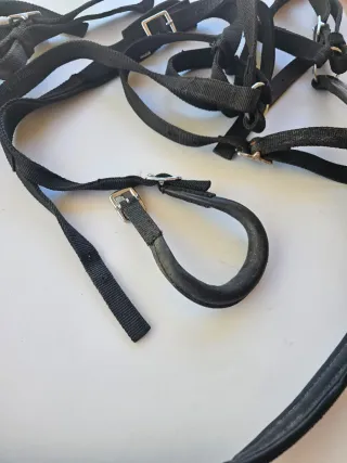 Arreos completos para caballo talla grande