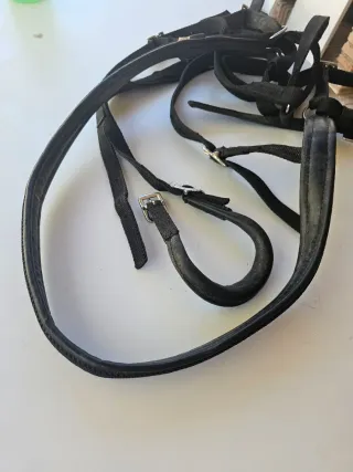 Arreos completos para caballo talla grande