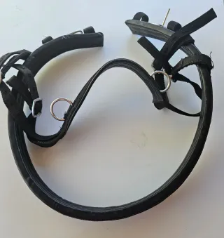 Arreos completos para caballo talla grande
