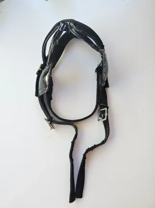 Arreos completos para caballo talla grande