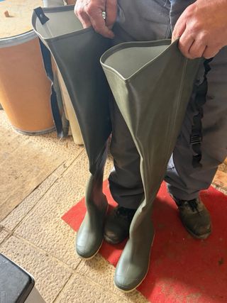 Stivali alti in gomma verdi
