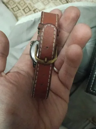 Orologio Safari Trophy 17 rubini automatico