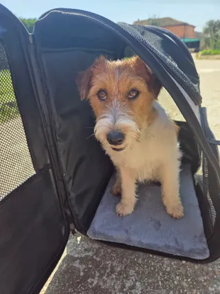 Mochila transportín mascotas Petcute