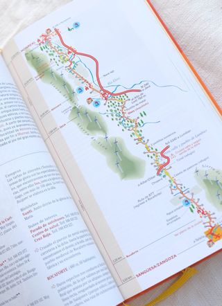 Guía del peregrino. El Camino de Santiago